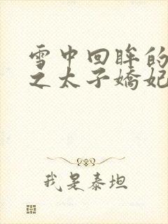 雪中回眸的清穿之太子娇妃