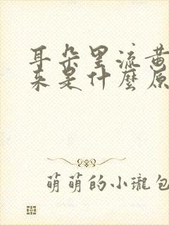 耳朵里流黄水出来是什么原因