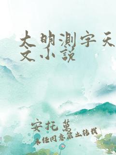 大明测字天师全文小说