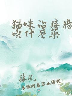 猫咪治疗肠胃炎吃什么药