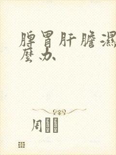 脾胃肝胆湿热怎么办