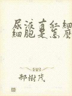 尿液有红细胞白细胞是怎么回事