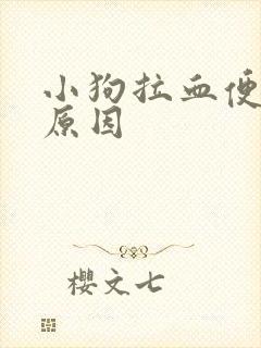 小狗拉血便什么原因