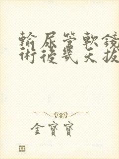 输尿管软镜碎石术后几天拔导尿管