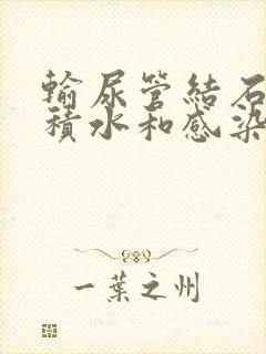 输尿管结石伴有积水和感染