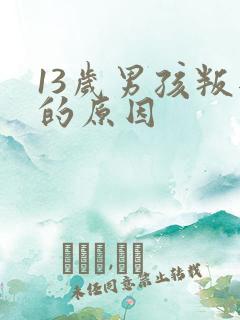 13岁男孩叛逆的原因