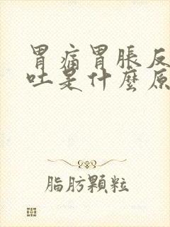 胃痛胃胀反胃想吐是什么原因