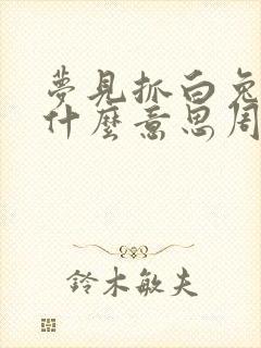 梦见抓白兔子是什么意思周公解梦