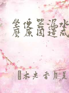 坐便器漏水是什么原因造成的