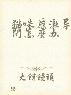 猫咪应激导致尿闭怎么办