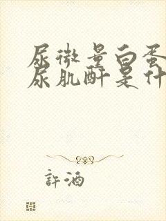 尿微量白蛋白/尿肌酐是什么