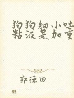 狗狗细小吐白色粘液是加重么