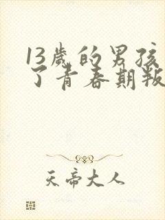 13岁的男孩到了青春期叛逆怎么教