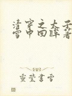 清穿之太子娇妃雪中回眸著