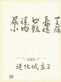 尿道口长了几个小肉粒还痛