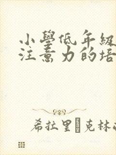 小学低年级学生注意力的培养