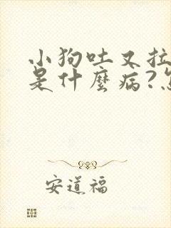 小狗吐又拉血了是什么病?怎么治