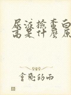 尿液检查白细胞高是什么原因