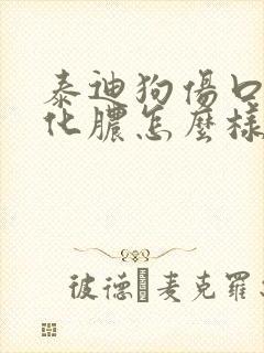 泰迪狗伤口感染化脓怎么样好得快