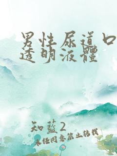 男性尿道口无色透明液体