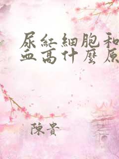 尿红细胞和尿隐血高什么原因