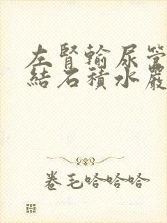 左肾输尿管下段结石积水严不严重