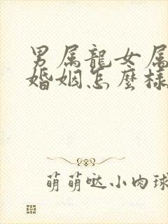 男属龙女属羊的婚姻怎么样