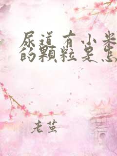 尿道有小米粒大的颗粒是怎么回事