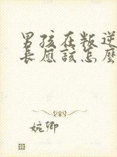 男孩在叛逆期家长应该怎么办