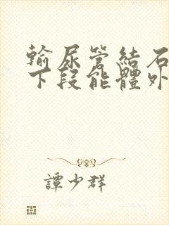 输尿管结石在中下段能体外碎石吗