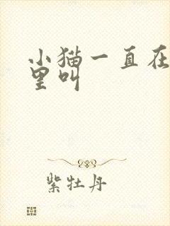小猫一直在笼子里叫