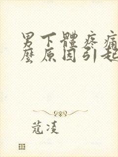 男下体疼痛是什么原因引起