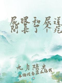 屁眼和尿道口中间长了个疙瘩痛