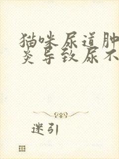 猫咪尿道肿大发炎导致尿不出尿怎么办