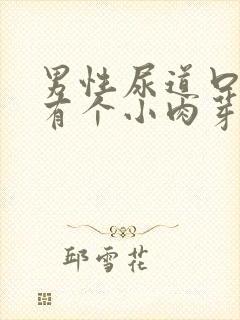 男性尿道口下边有个小肉芽