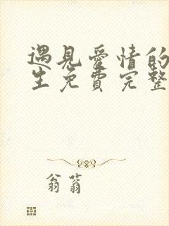 遇见爱情的利先生免费完整版