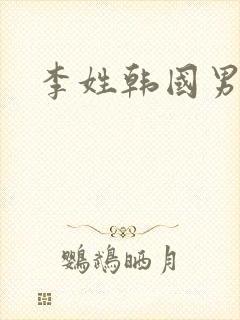 李姓韩国男艺人