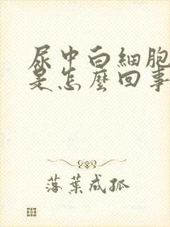 尿中白细胞阳性是怎么回事