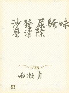 沙发尿骚味重怎么清除