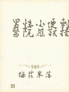 男性小便刺痛到医院应该挂什么科