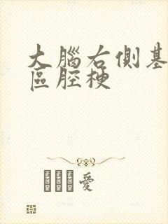 大脑右侧基底节区腔梗