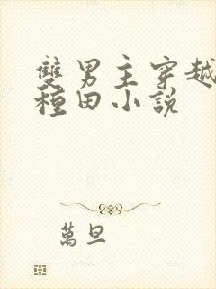 双男主穿越古代种田小说