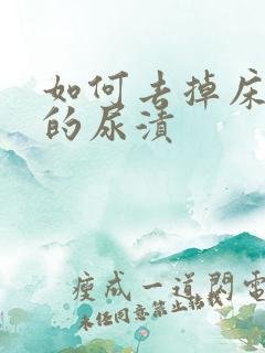 如何去掉床垫上的尿渍