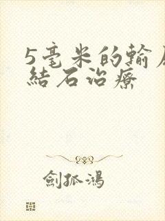 5毫米的输尿管结石治疗