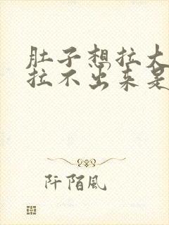 肚子想拉大便又拉不出来是什么原因