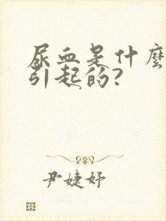 尿血是什么原因引起的?