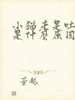 小猫老是吐黄水是什么原因