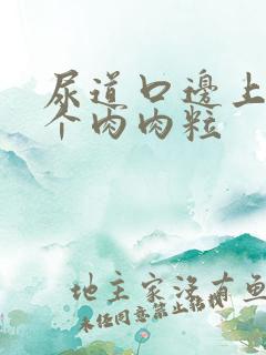 尿道口边上长了个肉肉粒