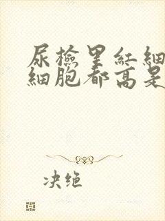 尿检里红细胞白细胞都高是咋回事