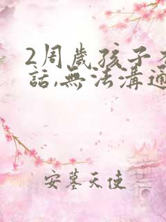 2周岁孩子不说话,无法沟通有什么方法?